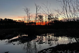 The Magic Of A Walk Before Sunrise
