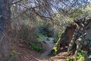 Hiking Review: Laguna Canyon Willow Staging Area Part II: Lizard Trail