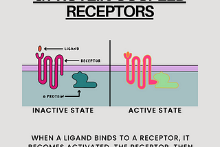 Receptors Involved in Cell Signaling