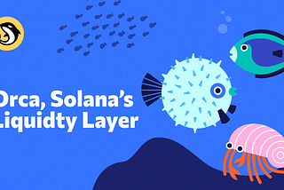 Orca, Solana’s Liquidity Layer