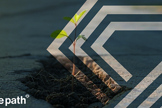 7 Battle-Tested Strategies for Building Resilience When Everything Goes Wrong