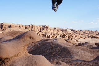 Happy Desert Jumping Man