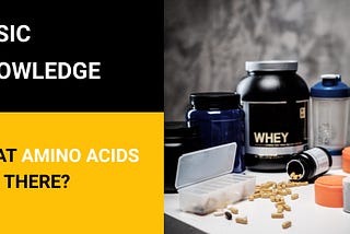 Basic Knowledge: What amino acids are there?