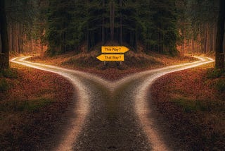 A path in a wooded area diverges into a fork in the road — options are signposted ‘this way’ and ‘that way’