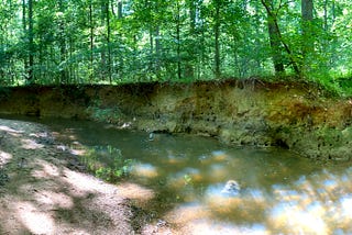 A panoramic shot of a child walking in a creek, with a steep bank and wooded land in the background.