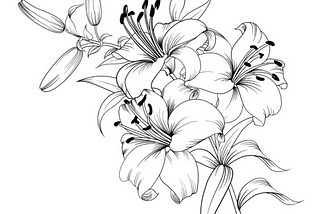 Drawing of lilies