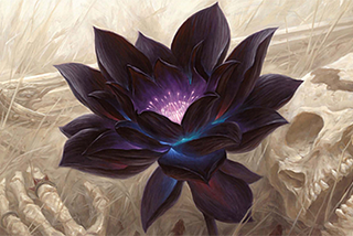 MTG to MIT to VC: How a Black Lotus Inadvertently Started My Investing Career