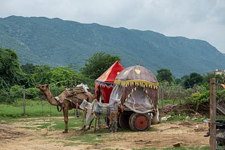 Pushkar — A Pleasant Surprise