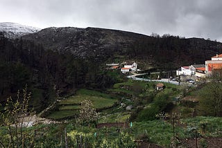 Serra da Estrela, seis meses después del fuego