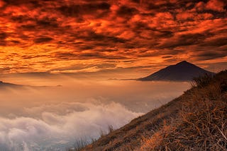 Ağ İletişim Kuralları ile Çalışmak