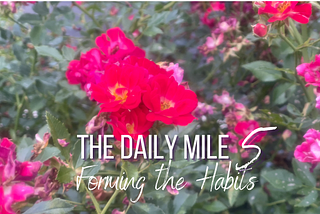 5: Forming the Habits