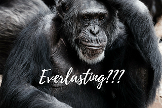 The Christian ‘Everlasting Life’ talk never made sense to me. What is everlasting life even about?