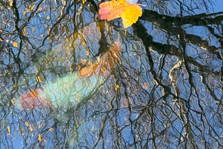 Enjoy The Colors While You Can