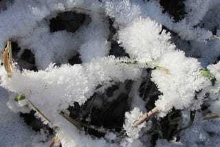 Winter Photo Essay — An Homage to the Resting Season