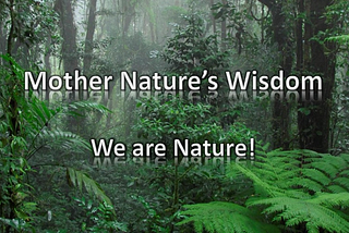 Weaving a partnership with Nature for a future of abundance and well-being.