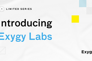 Introducing the Exygy Labs Series