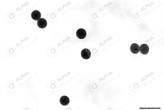 PMMA Nanoparticles