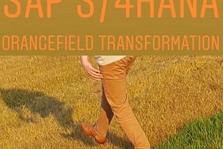 Greenfield, Brownfield, Bluefield™ and what is this Orangefield Transformation and why does it make…