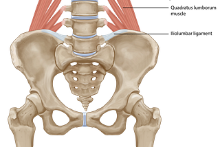 Disc Herniation Series (Part 5)