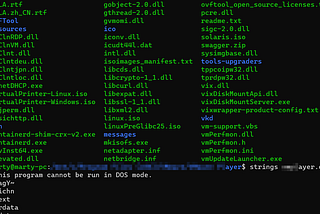 Malware Analysis: The Dissection and Detection