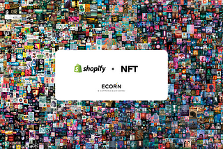 Set up your NFT Shopify store: Ultimate Guide