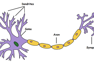 MP Neuron Model