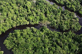 Deforestation in Brazil: Causes, Consequences, and Strategies