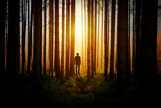 Silhouette of a Man during Sunset