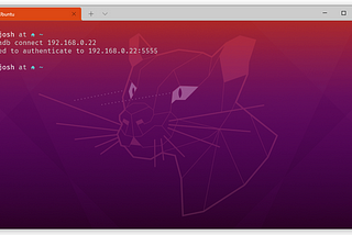 Developing Flutter with Physical Devices on WSL2 — Windows 10