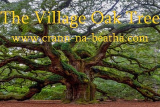 Image file showing large ancient oak tree with the podcast name, The Village Oak Tree and my website, www.crann-na-beatha.com