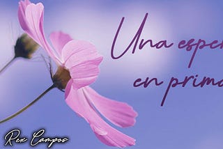 Una espera en primavera.