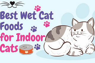 Best Wet Cat Food for Indoor Cats in USA 2024 | White Persian Cat
