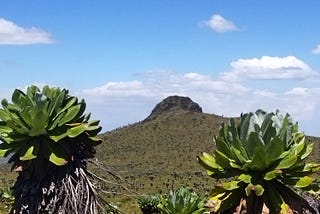 This is the Rurimeria peak in the Nyandarua Ranges, 3861m.