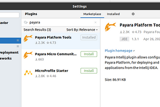 How to Debug your Java Application in a Payara Server #IntelliJ IDEA