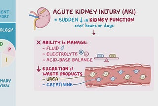 Acute Kidney Injury (AKI): Causes, Management, and Prognosis