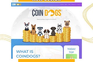 Today we wanna share with you a sneak peek of CoinDogs’ website modernization 😏