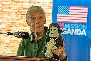 A Tribute to Jane Goodall: Her Contribution to Science