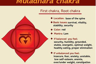 1st Chakra Healing for Physical Illnesses