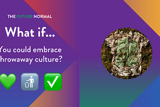 What if…you could embrace throwaway culture?