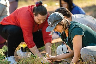 Students and faculty members dig into a patch of land and prepare to place plants native to Colorado