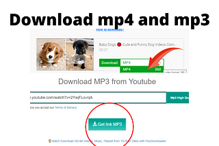 YouTube Converter into mp4 and mp3