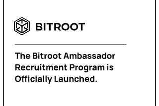 🌟 Bitroot Ambassador Recruitment Program Officially Launches! 🌟