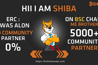 WHAT IS BSHIBA?