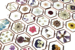 Meet The Maker — Palyglass