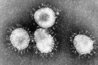 Coronaviruses Under a Microscope