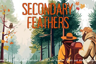 Secondary Feathers — Introduction