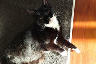 I Recently Lost My Best Friend