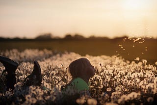 Child blowing dandelion in a field of flowers at sunset.