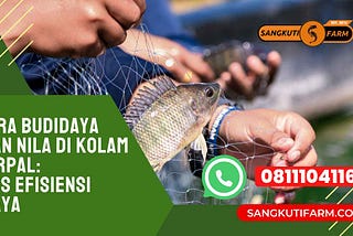 Cara Budidaya Ikan Nila di Kolam Terpal: Tips Efisiensi Biaya