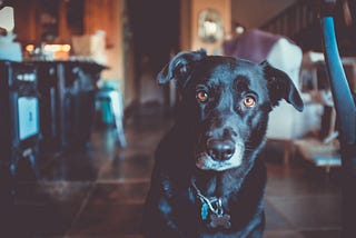 Writing Scalable React Apps with the Component Folder Pattern